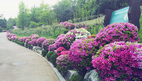 Take a walk through the peaceful and beautiful Hangangjin area.