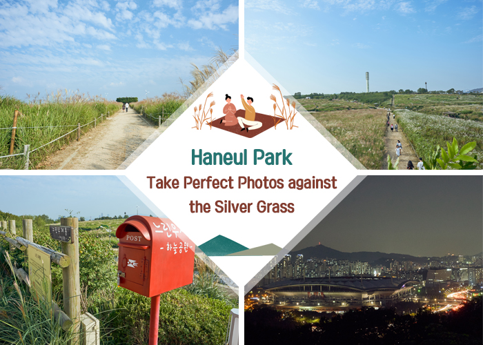 Haneul Park: Take perfect photos against the silver grass