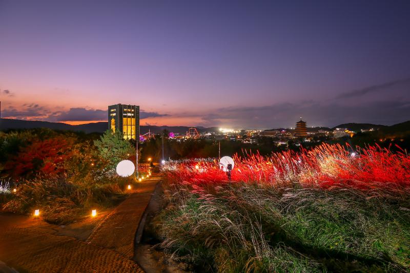 Gyeongju Expo Park_1