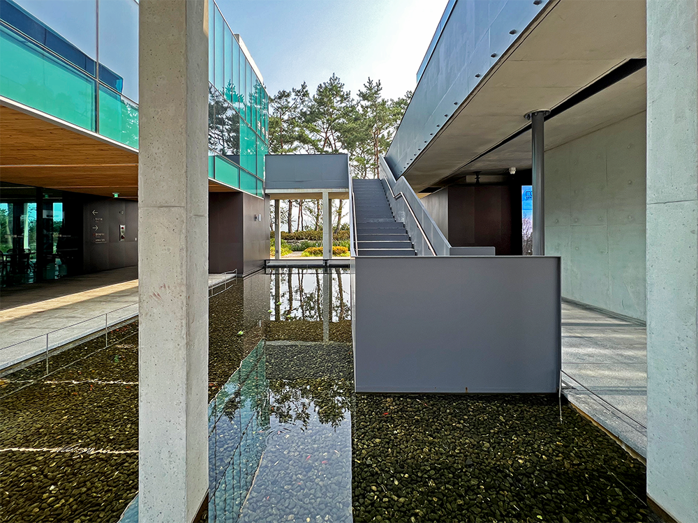 Fishes are swimming in the shallow pool between the two buildings with a steel staircase leading up to the second floor.