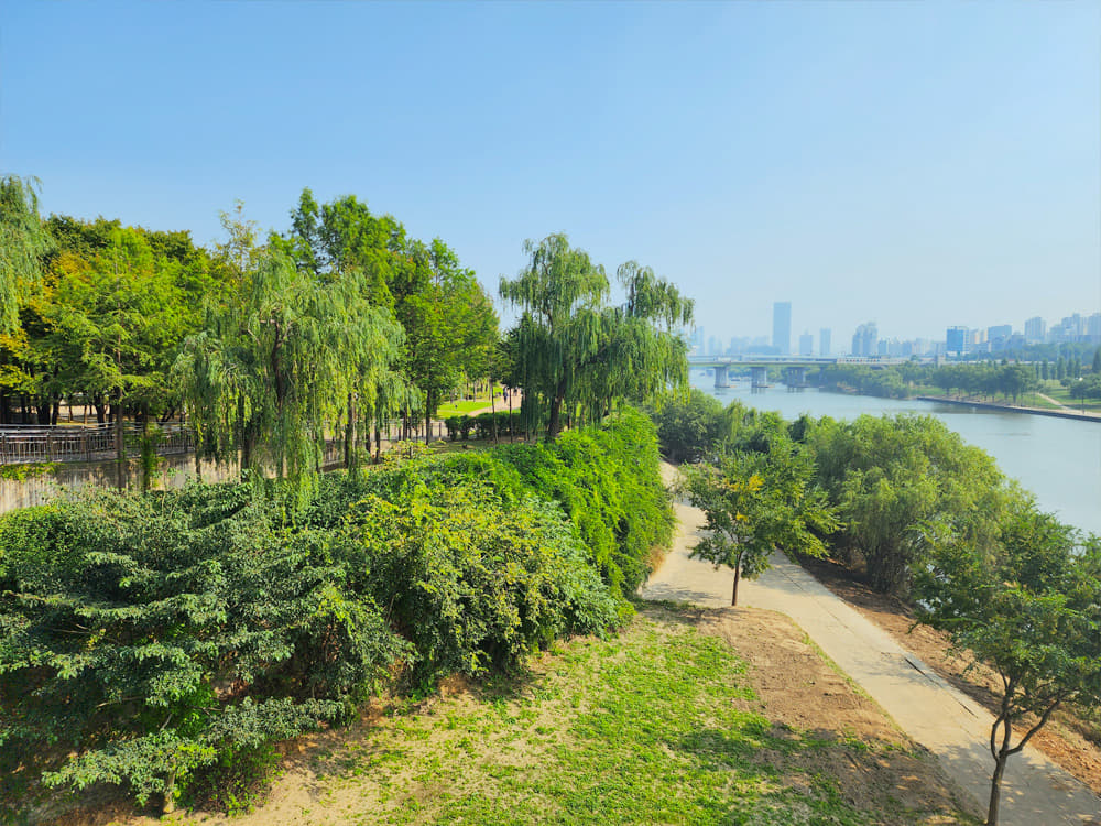 The Hangang River on the right, and Seonyudo Park with densely planted trees on the left.