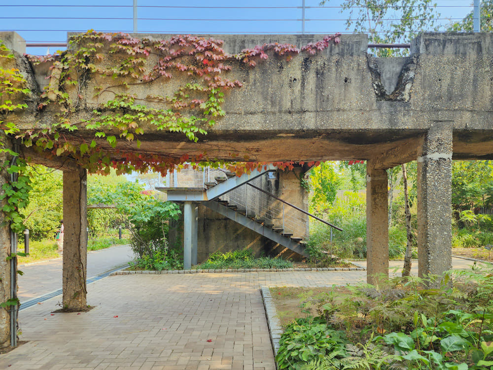 Vines growing on the many grooves of the old bridge.