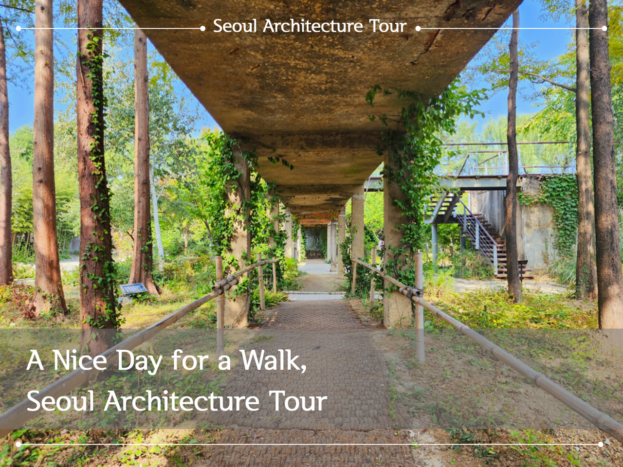 A Nice Day for a Walk, Seoul Architecture Tour / A long passage under a bridge, with trees standing on both sides