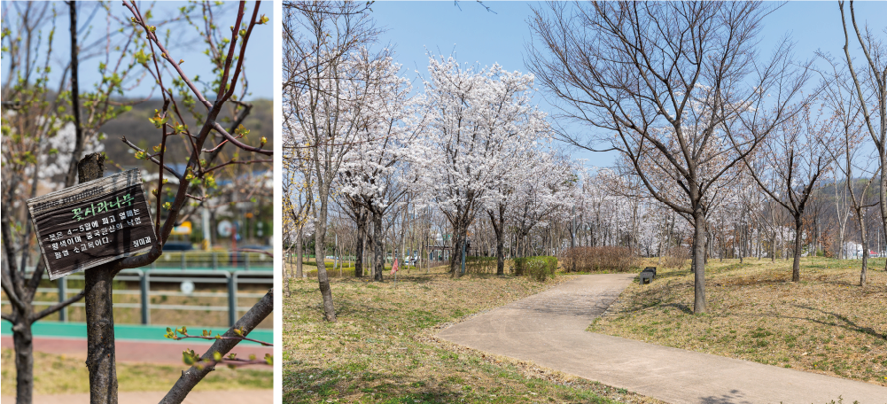 waterside ecological park