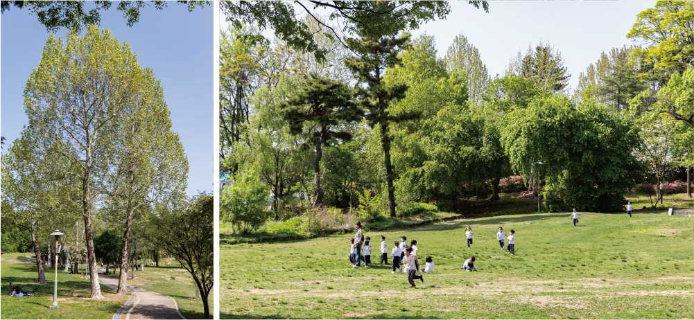 Seoul Children’s Grand Park