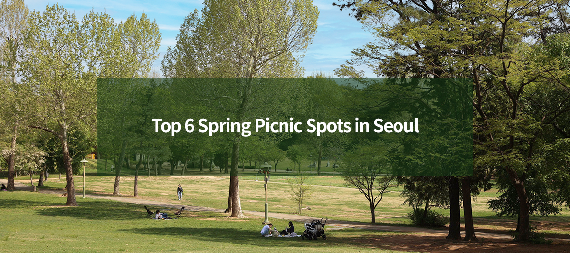 Top 6 Spring Picnic Spots in Seoul