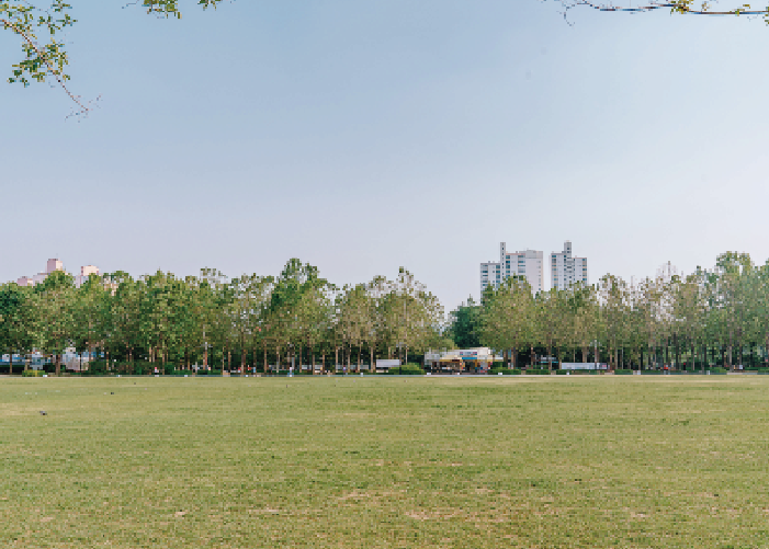 Top 6 Spring Picnic Destinations