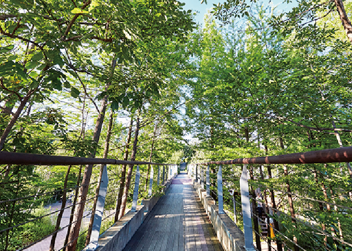 Top 5 Unknown Seoul Parks to Explore