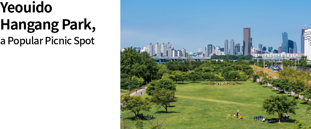 Yeouido Hangang Park, a Popular Picnic Spot