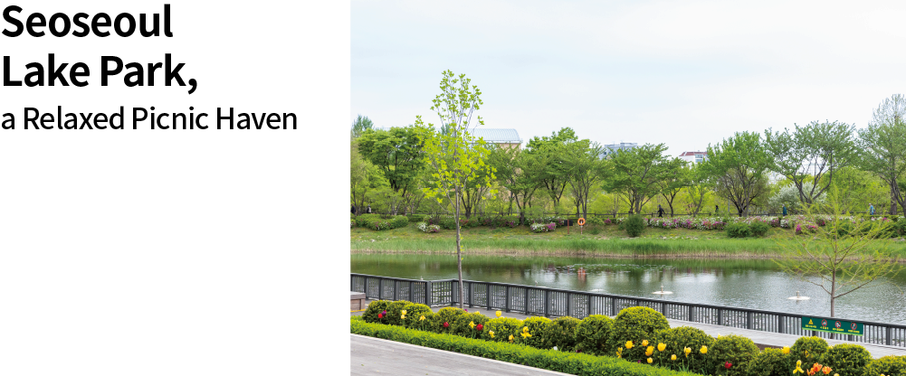 Seoseoul Lake Park, a Relaxed Picnic Haven