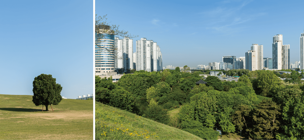 Olympic Park