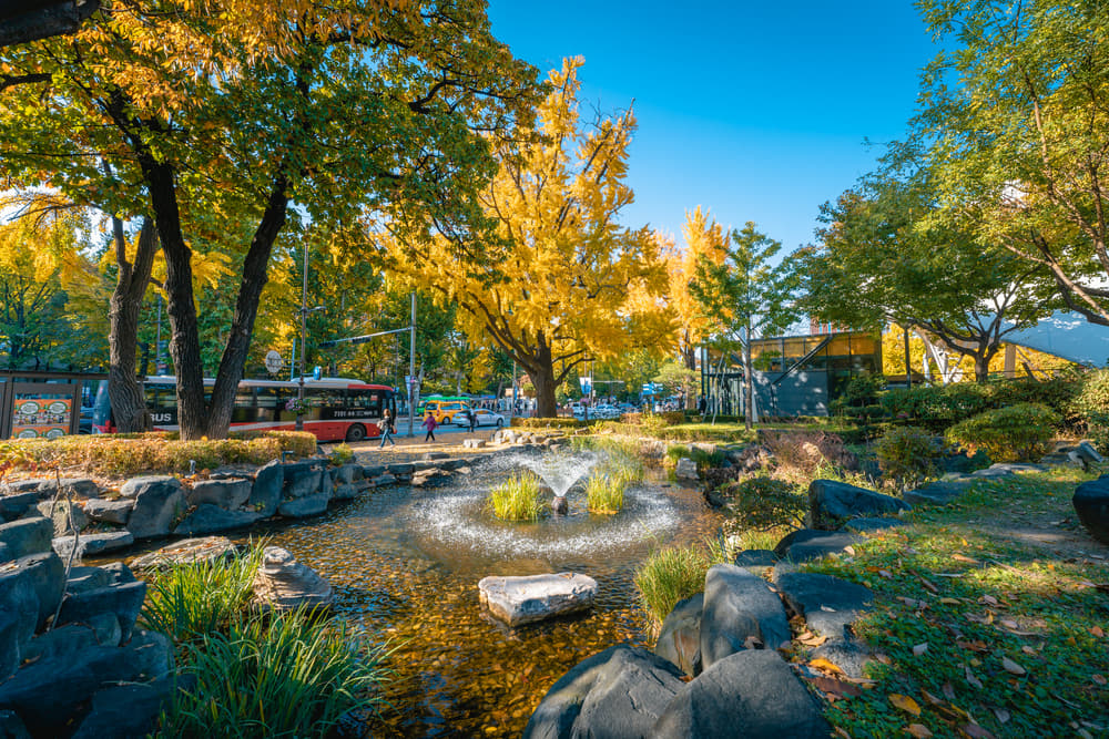 Marronnier Park