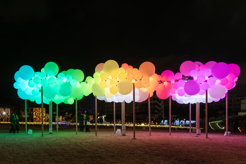 A Mystical Forest of Lights