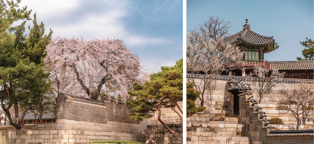 Changdeokgung Palace