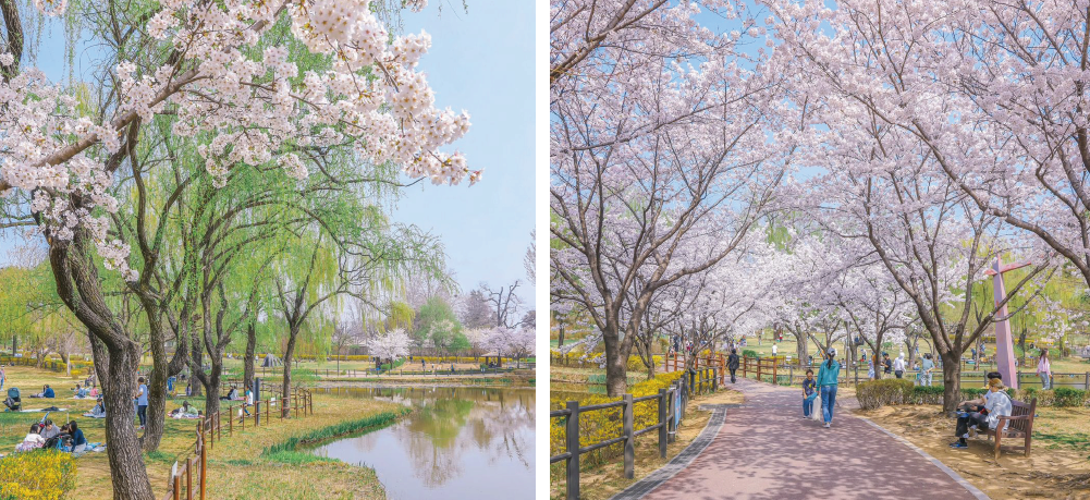 Yongsan Family Park