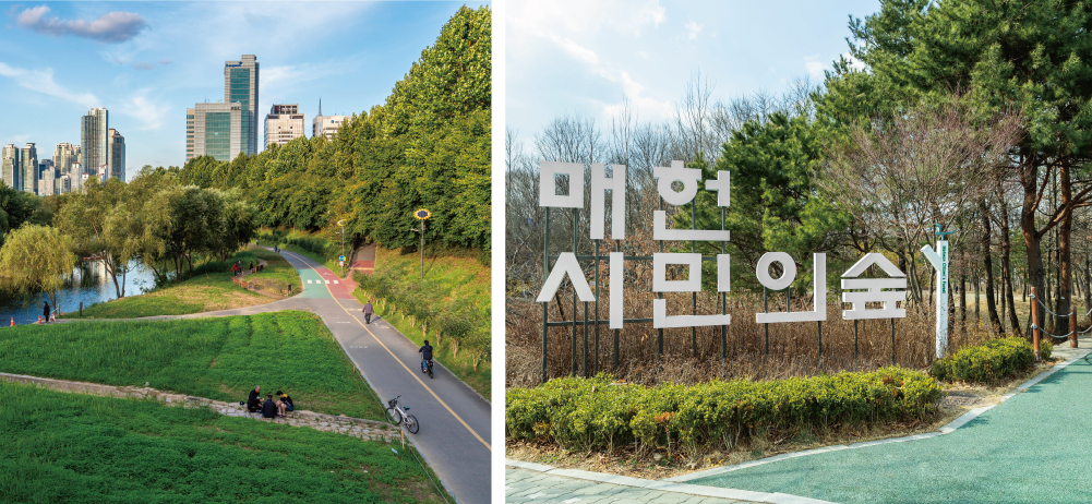 Maeheon Citizen’s Forest