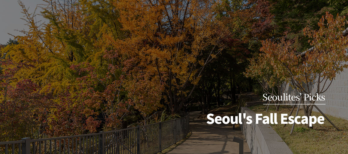 Seoulites's Picks / Seoul's Fall Escape