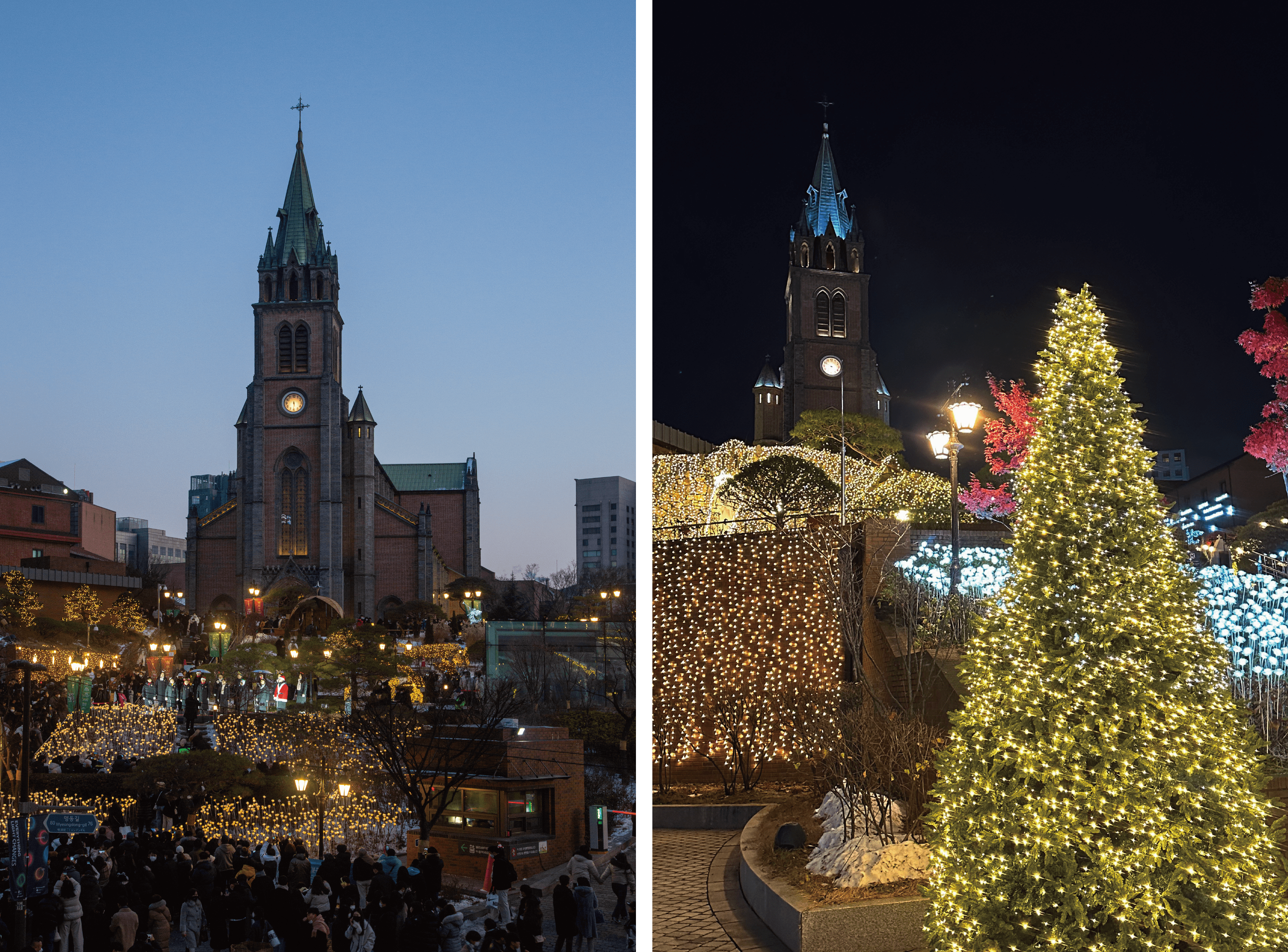 Myeong-dong Cathedral 2