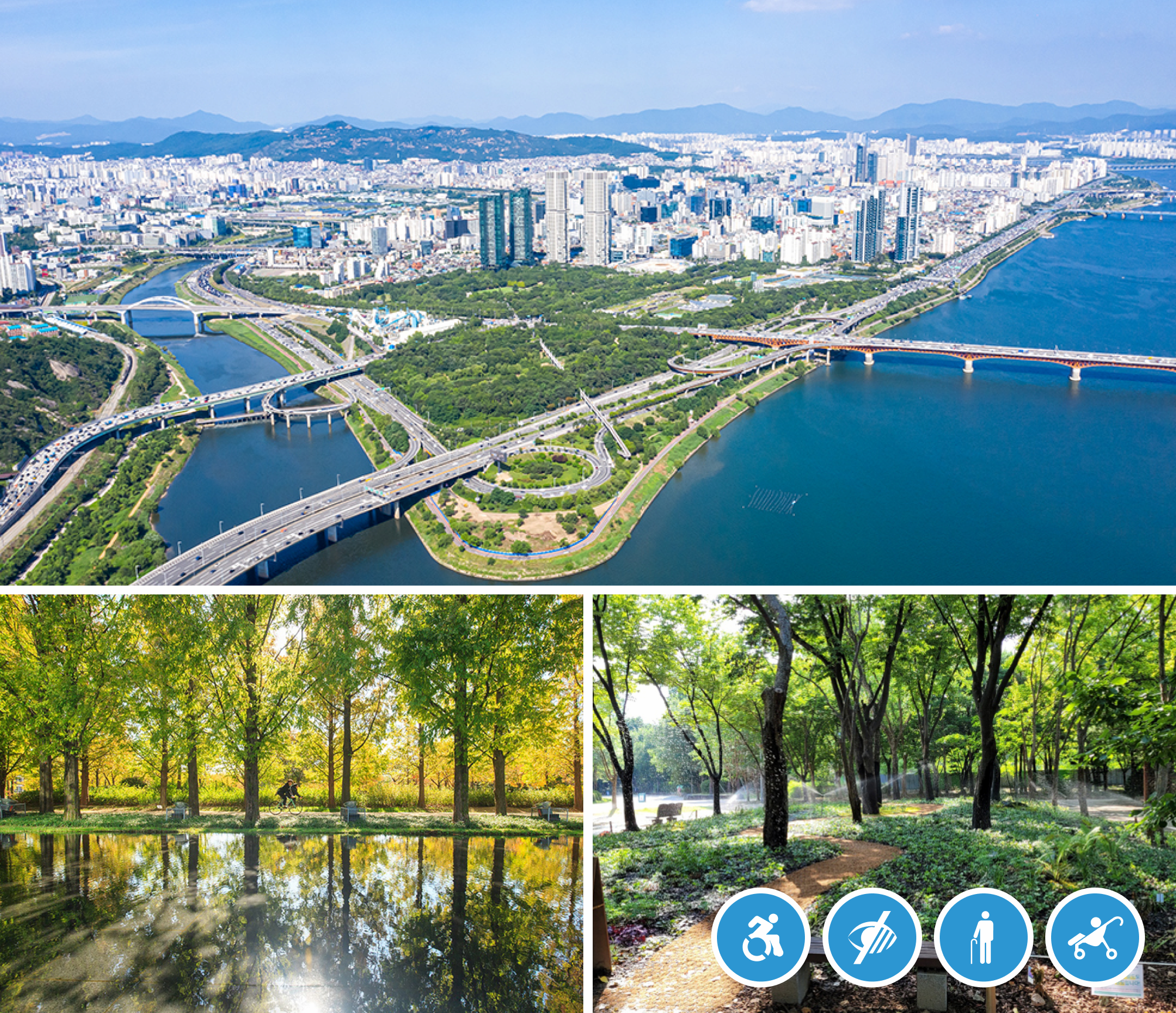 Top: Panoramic view of Seoul Forest, Bottom Left: Seoul Forest Interior View, Bottom right: Seoul Forest Interior View 2