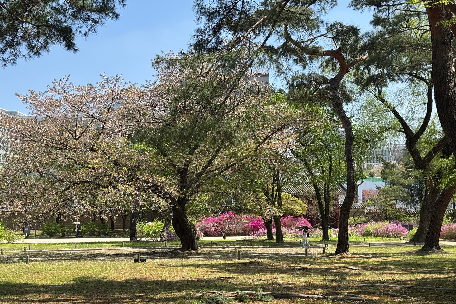 Changgyeonggung Palace1