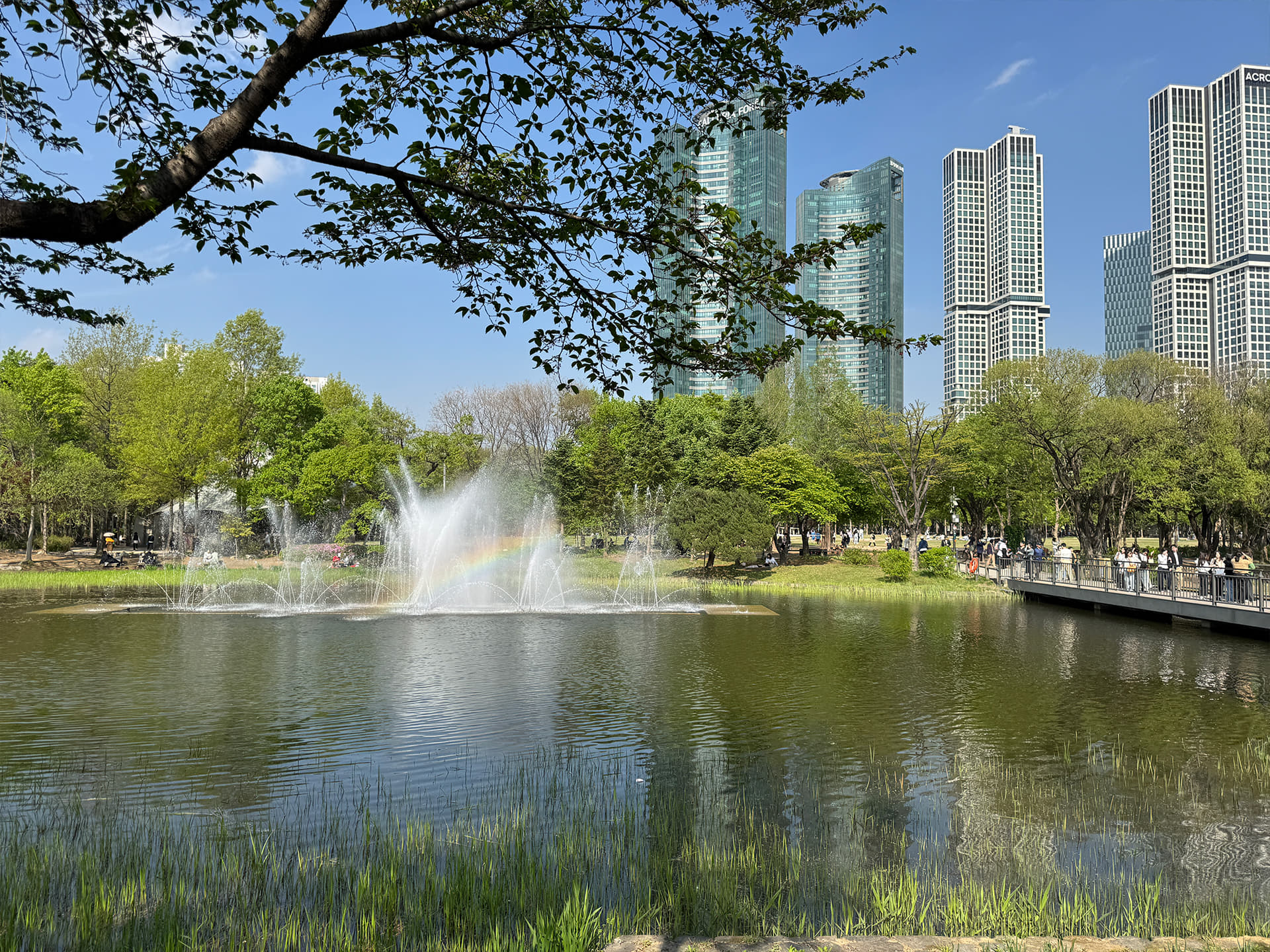 A Living, Breathing Forest: Seoul Forest1