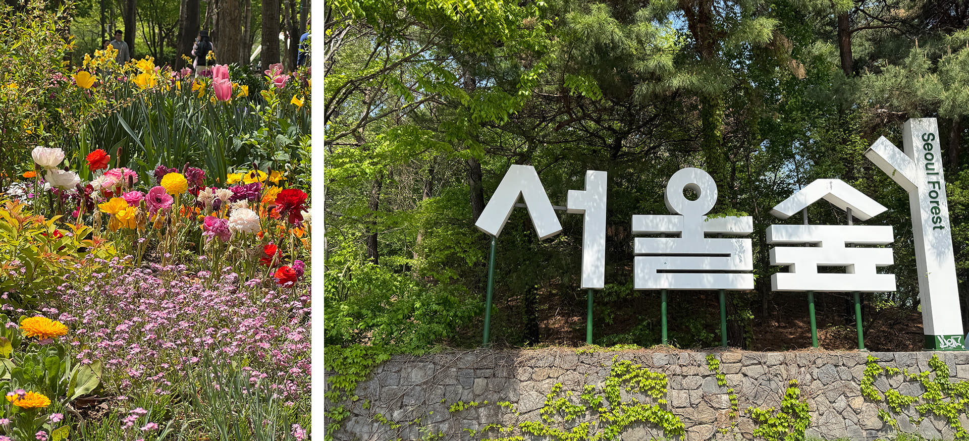 A Living, Breathing Forest: Seoul Forest3