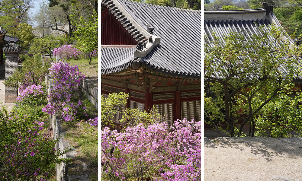 Changgyeonggung Palace2