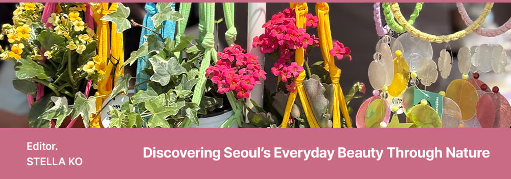 Editor. STELLA KO / Discovering Seoul’s Everyday Beauty Through Nature