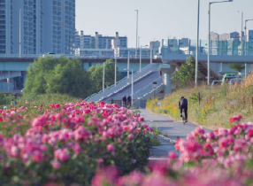 Jungnangcheon Stream Embankment