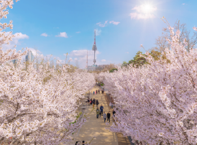 Seoul Festa 2023, Enjoy K-Culture in Spring