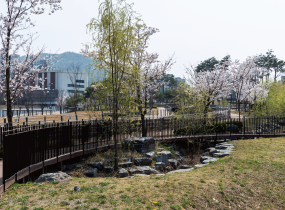 Cheonggyesan Waterside Ecological Park