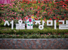 Seoul Rose Festival