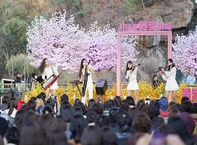 2024 Seodaemun Spring Light Festival: 