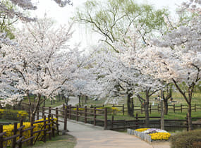 Yongsan Park