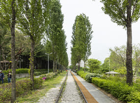 Gyeongchun Line (Railroad) Forest