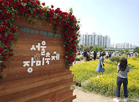 Jungnang Seoul Rose Festival