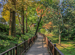 Hongneung Arboretum