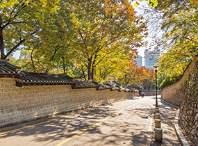 Deoksugung Stonewall Walkway