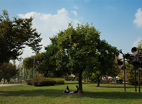 Ichon Hangang Park