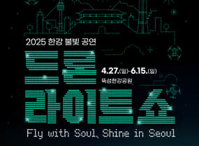 2025 Hangang Drone Light Show 