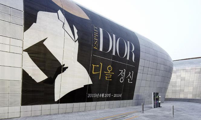 Esprit Dior - Dior Spirit