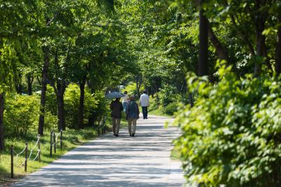 An Urban Respite, the Gyeongui Line Forest Park