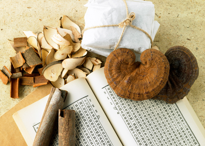 The 22nd Seoul Herb Medicine Culture Festival 