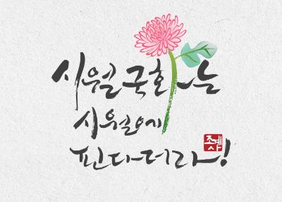 Jogyesa Temple Chrysanthemum Festival 