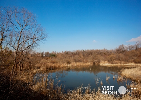 Gildong Ecological Park