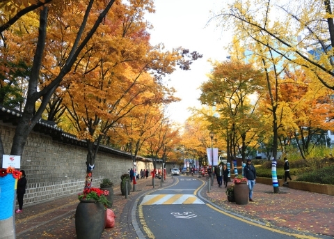 Deoksugung Stonewall Walkway