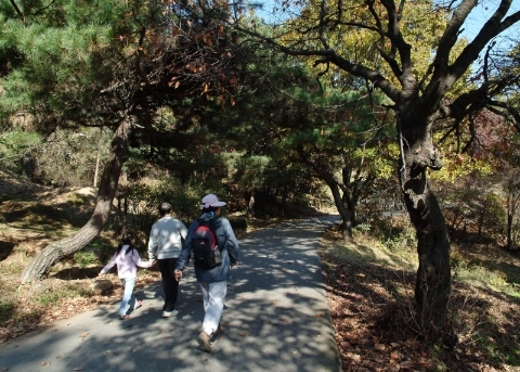 Mangusan Philosopher's Path