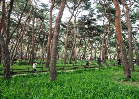 Solbat Neighborhood Park