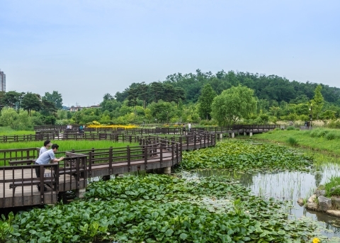 Pureun Arboretum