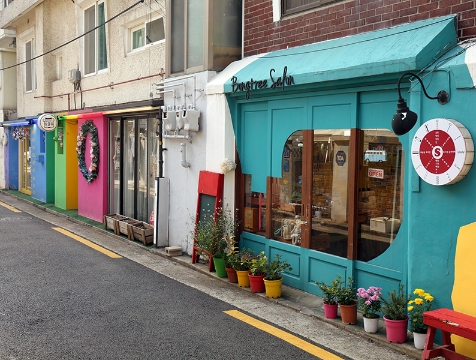  “Record of Youth” on Hongdae Street